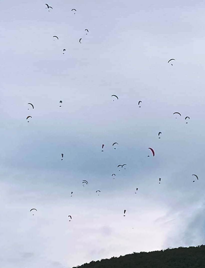 12 D
